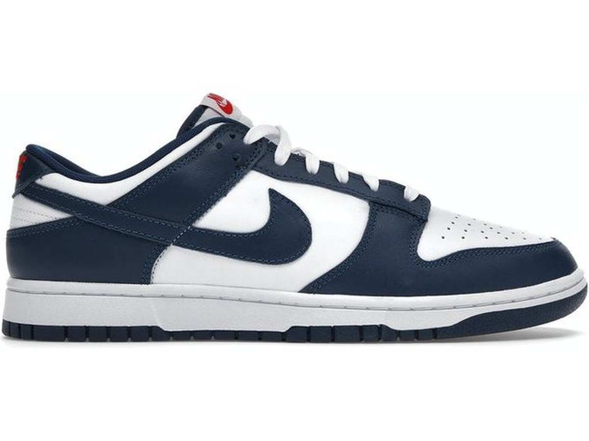 Nike Dunk Low Valerian Blue